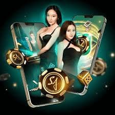pbc login